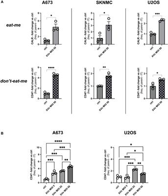 YB-1-based oncolytic virotherapy in combination with CD47 blockade enhances phagocytosis of pediatric sarcoma cells